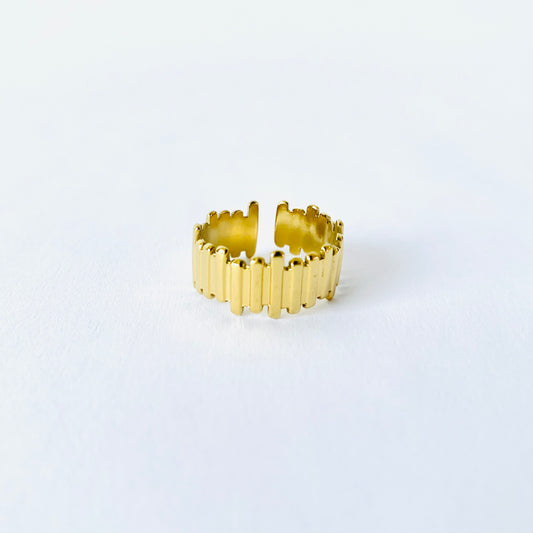 Vault Ring