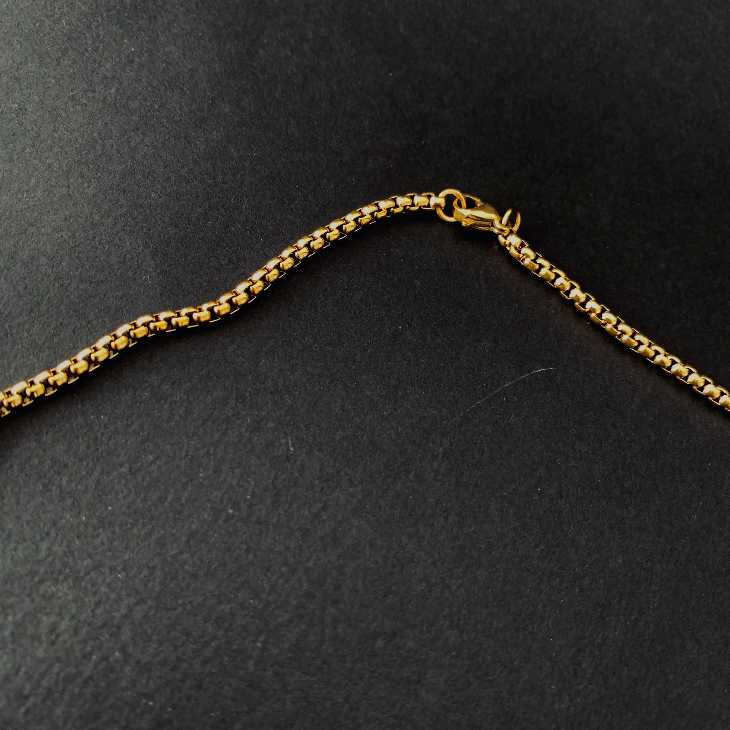 Gold Round Lion Pendant Necklace